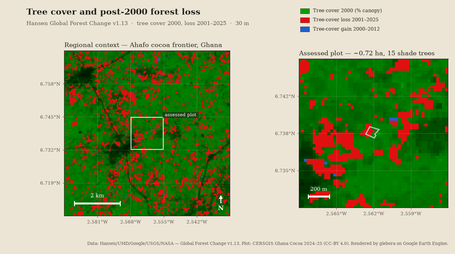Two-panel Hansen Global Forest Change map of the Ahafo cocoa frontier in Ghana: forest canopy in green and tree-cover loss since 2000 in red, with a regional view beside a close-up of the assessed cocoa plot outlined in white. Data: Hansen/UMD/Google/USGS/NASA, rendered on Google Earth Engine.